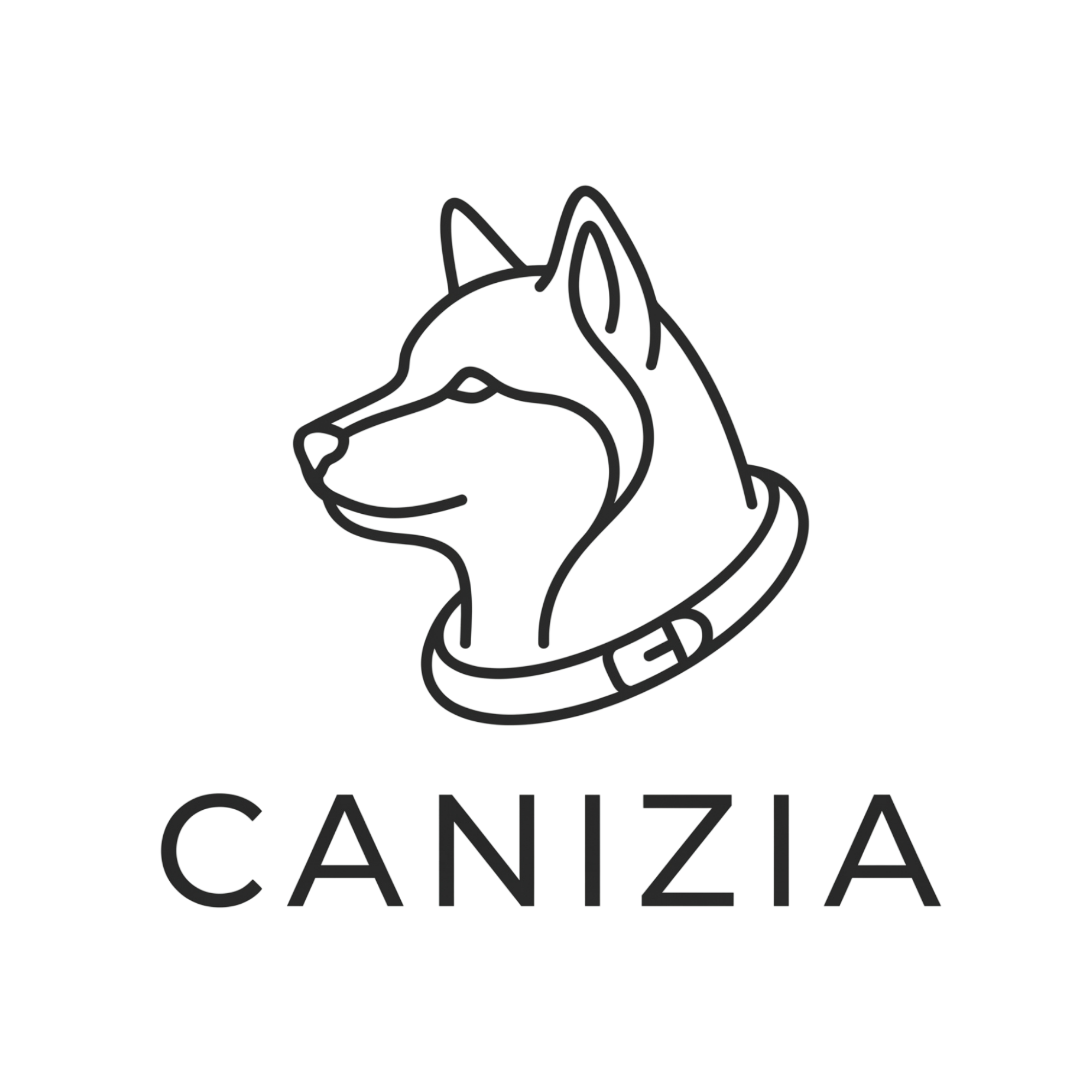 Canizia